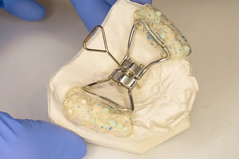 Appliances in Wesley Chapel